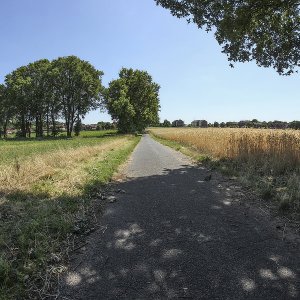 Der Weg...... Sabine Schröder